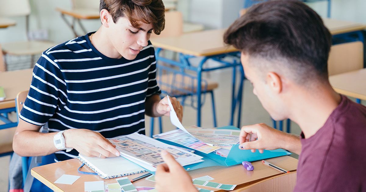 Istruzione professionale